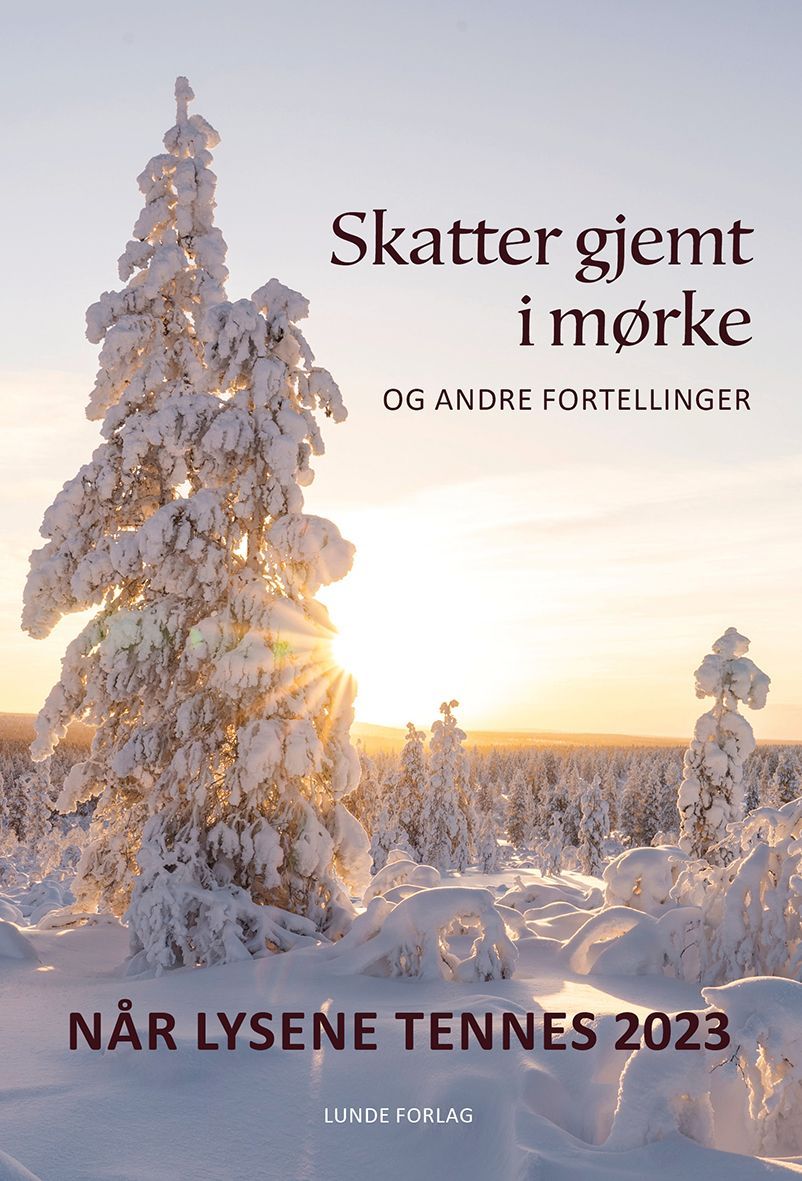 Skatter gjemt i mørket : og andre fortellinger