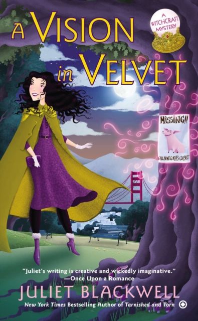 Forsidebilde av A Vision in Velvet