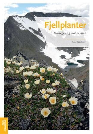 Fjellplanter : Dovrefjell og Trollheimen