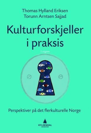 Kulturforskjeller i praksis : perspektiver på det flerkulturelle Norge