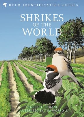 Shrikes of the World : THE BB/BTO BIRD BOOK OF THE YEAR