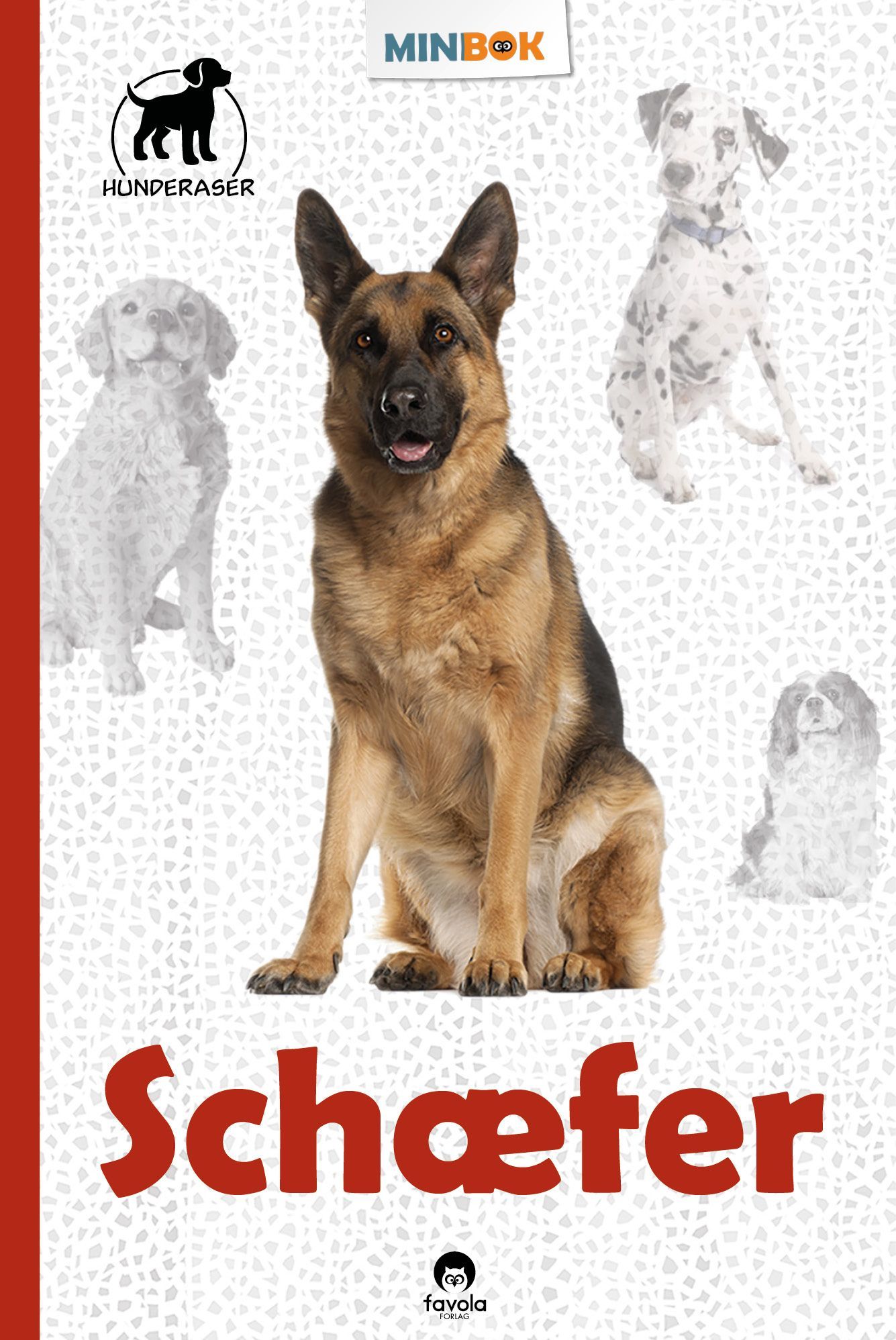 Schæferhund