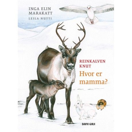 Reinkalven Knut : hvor er mamma?