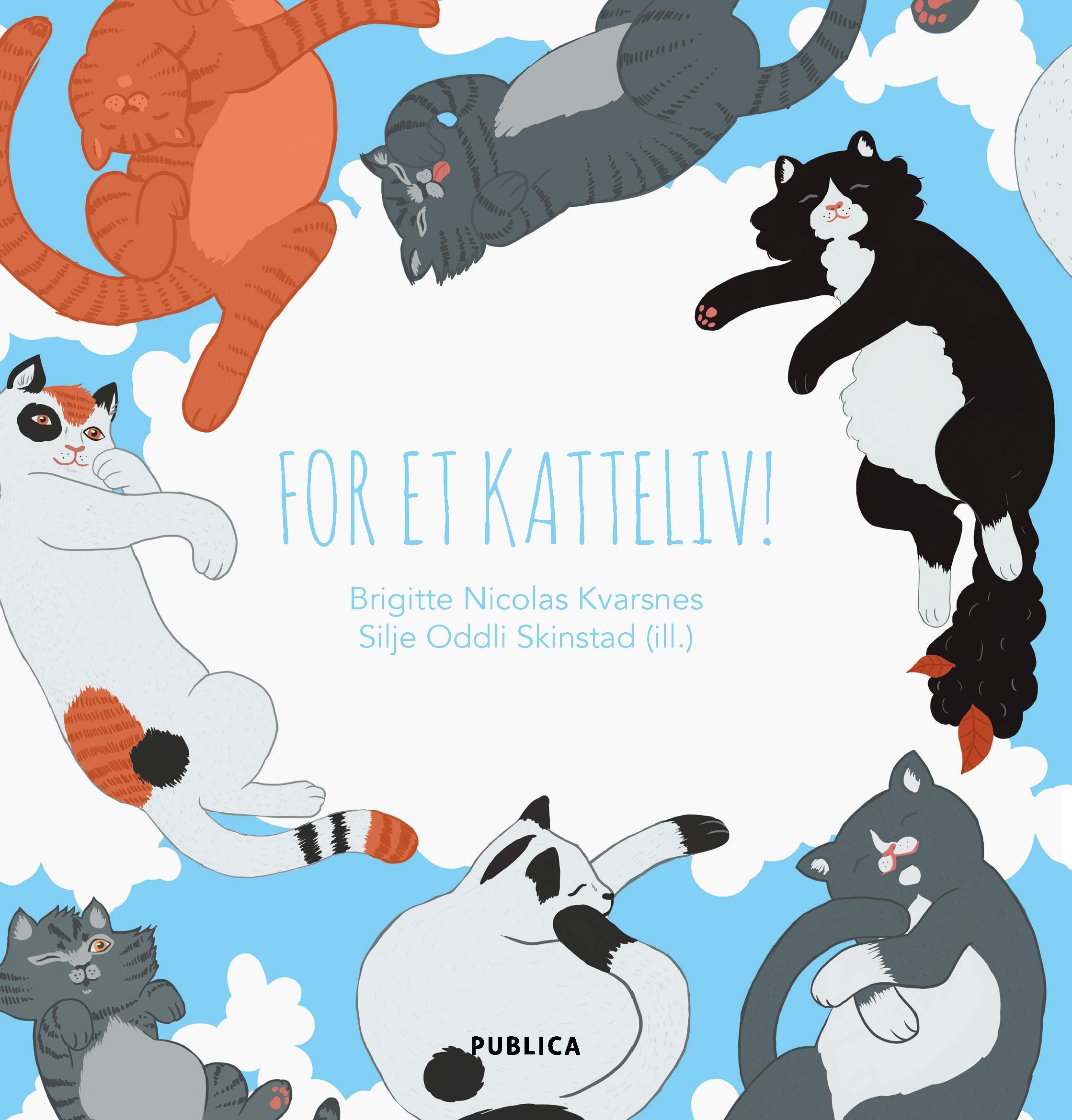 For et katteliv!