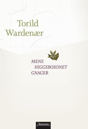 Forsidebilde av Mens higgsbosonet gnager