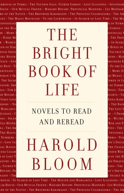 The Bright Book of Life : Novels to Read and Reread