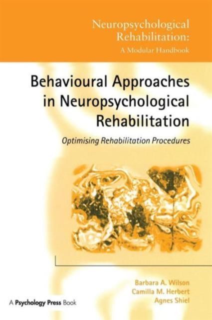 Behavioural Approaches in Neuropsychological Rehabilitation : Optimising Rehabilitation Procedures