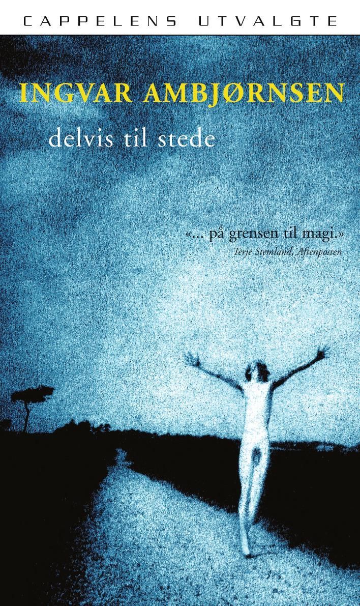 Delvis til stede : noveller