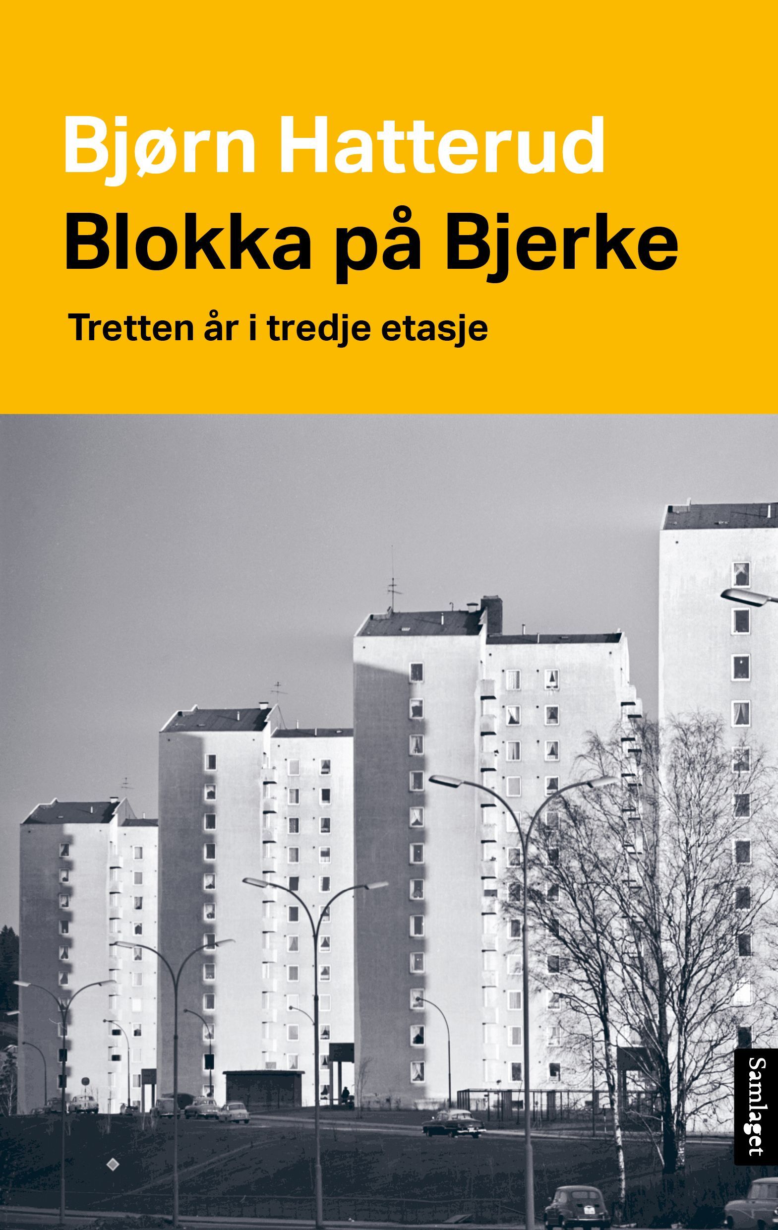 Blokka på Bjerke : tretten år i tredje etasje