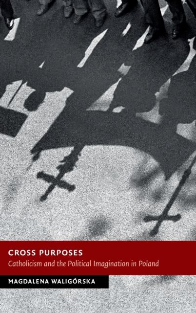 Cross Purposes : Catholicism and the Political Imagination in Poland