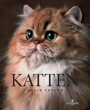 Katten