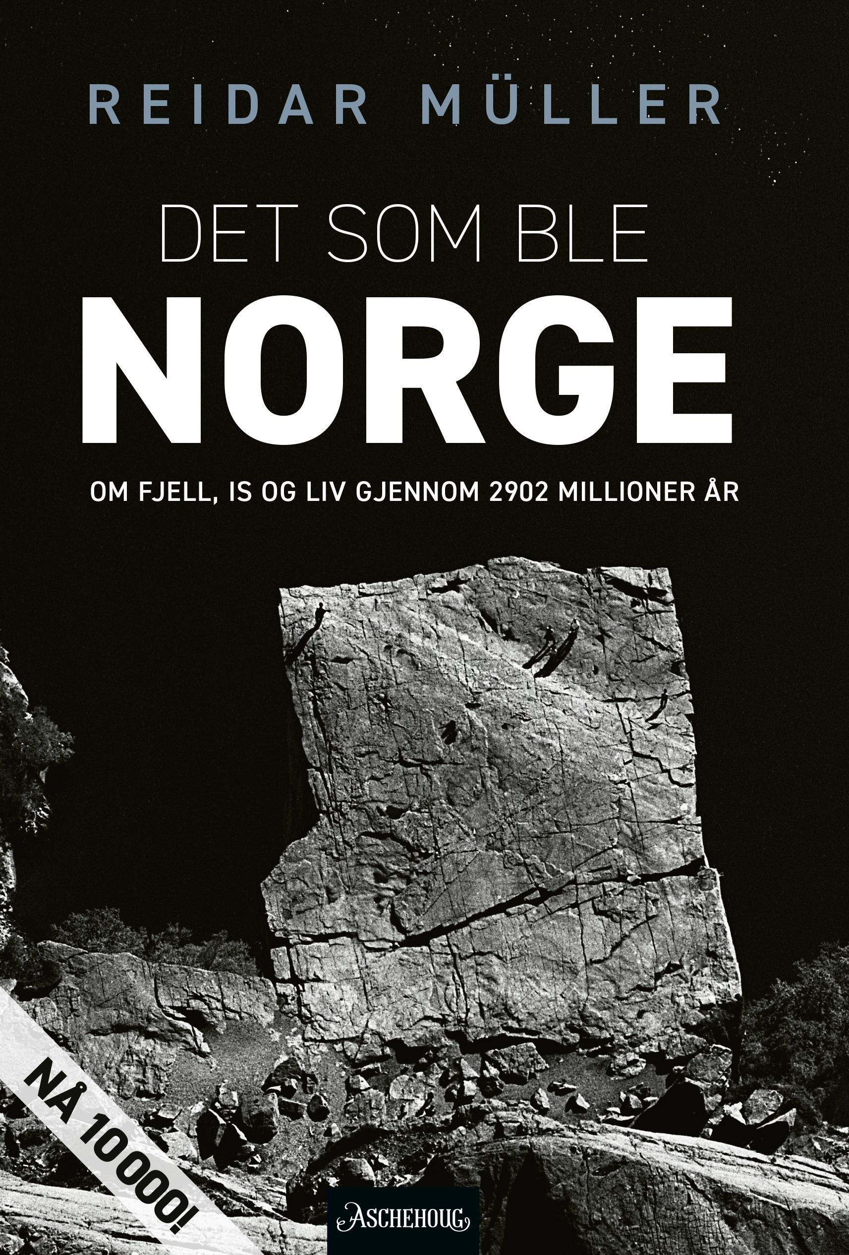 Det som ble Norge : om fjell, is og liv gjennom 2902 millioner år