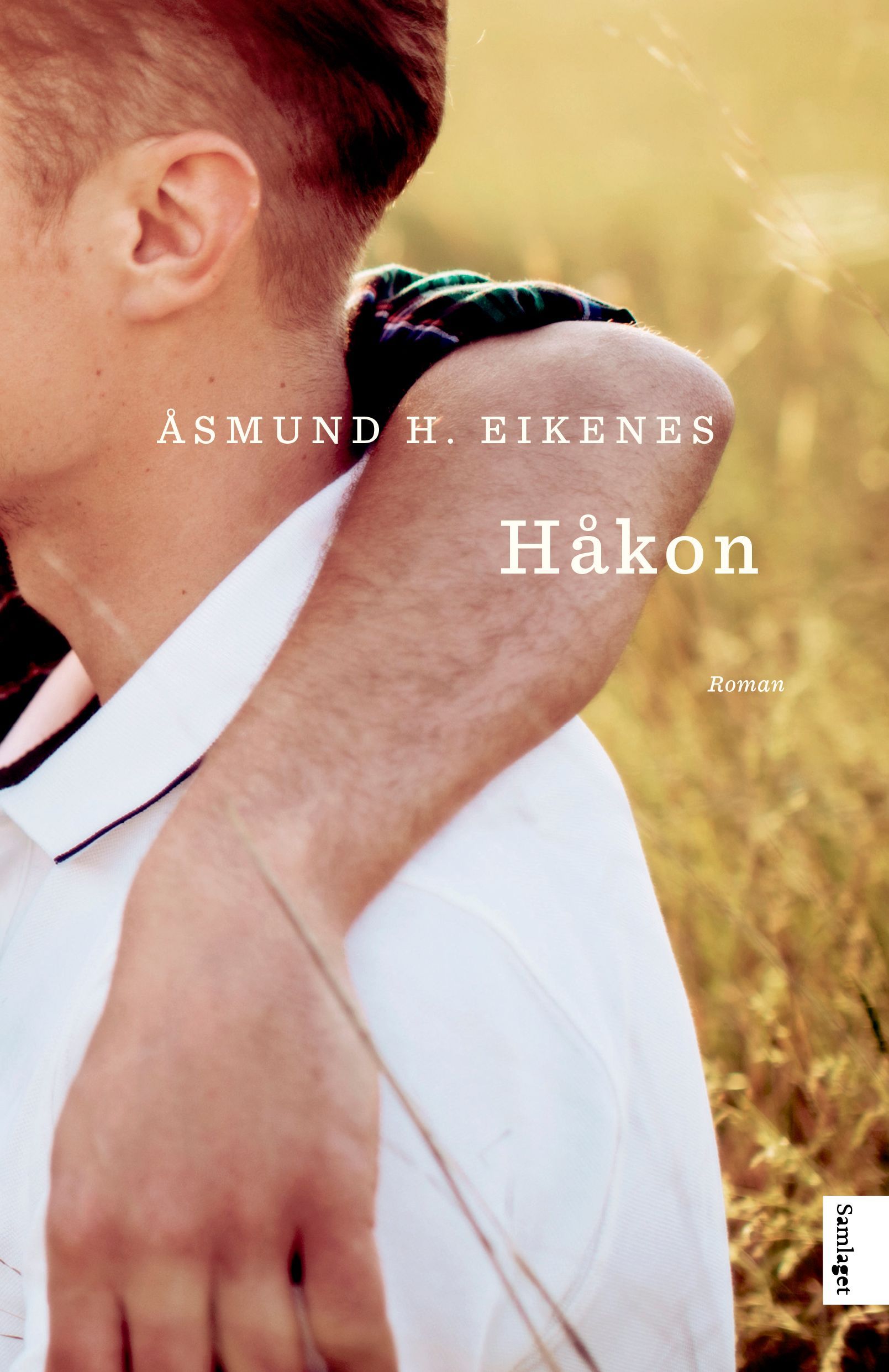 Håkon : roman