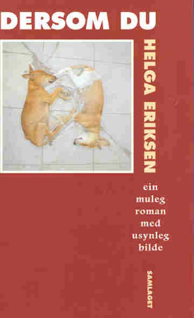 Dersom du : ein muleg roman med usynlege bilde