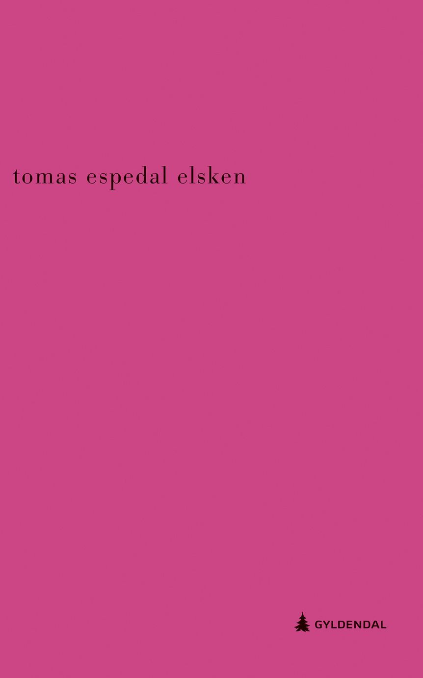 Elsken : roman