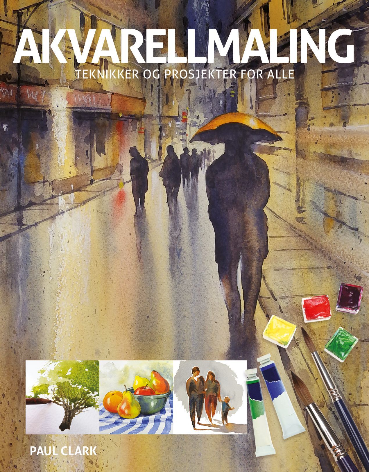 Akvarellmaling : teknikker og prosjekter for alle