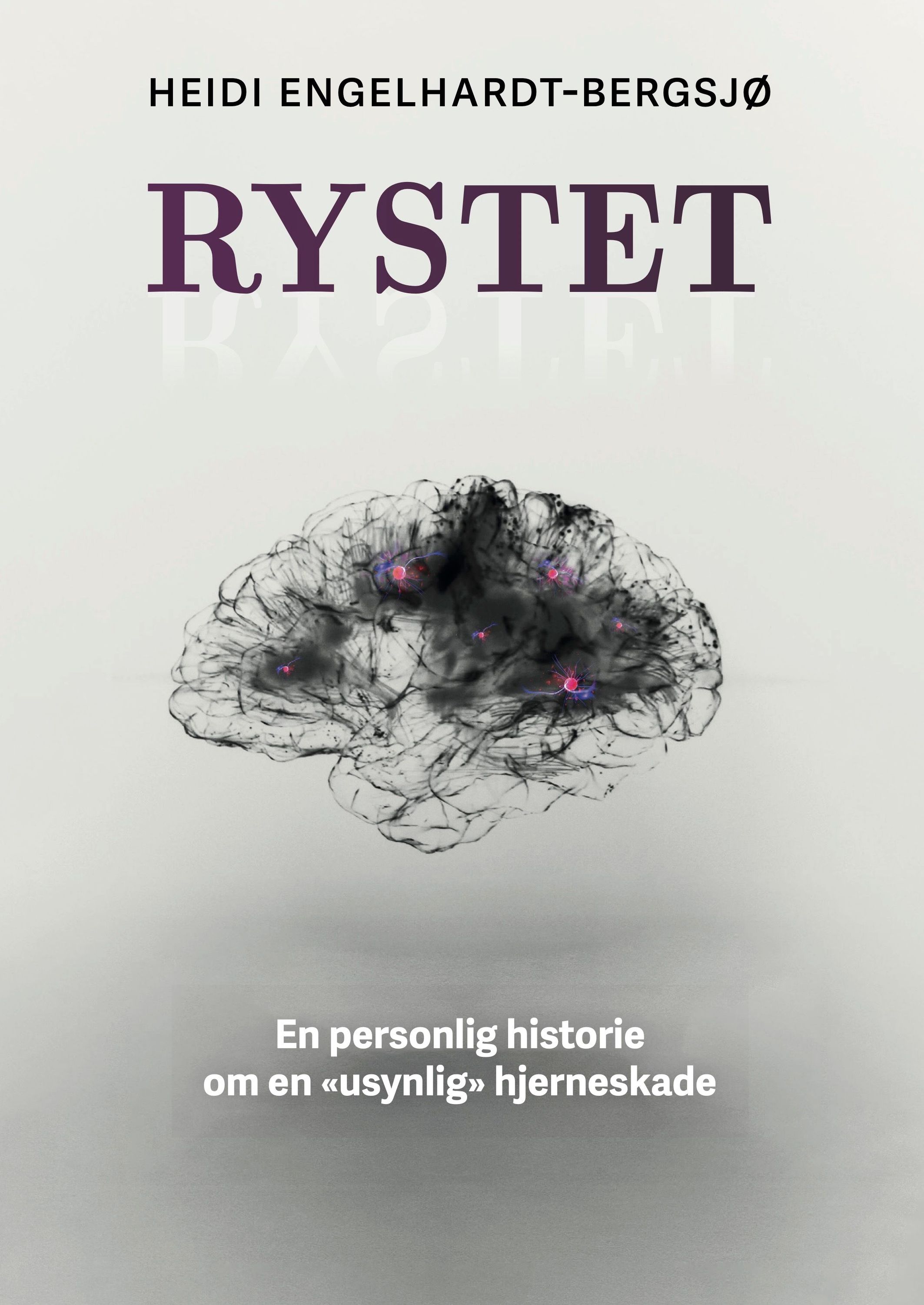Rystet : en personlig historie om en "usynlig" hjerneskade