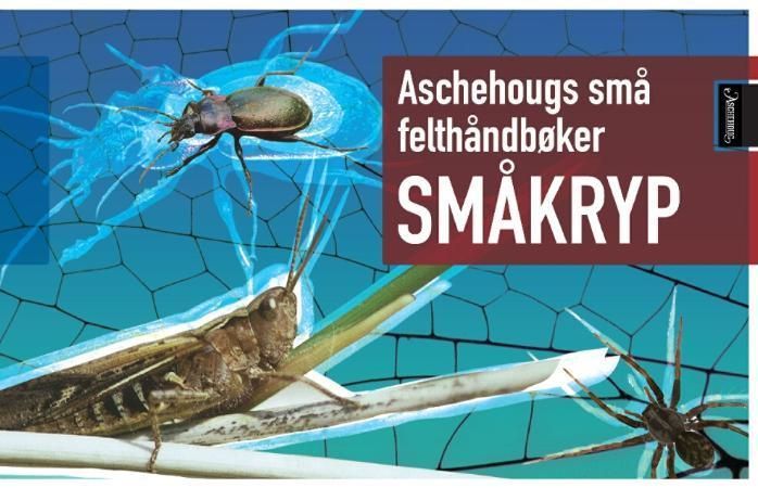 Småkryp