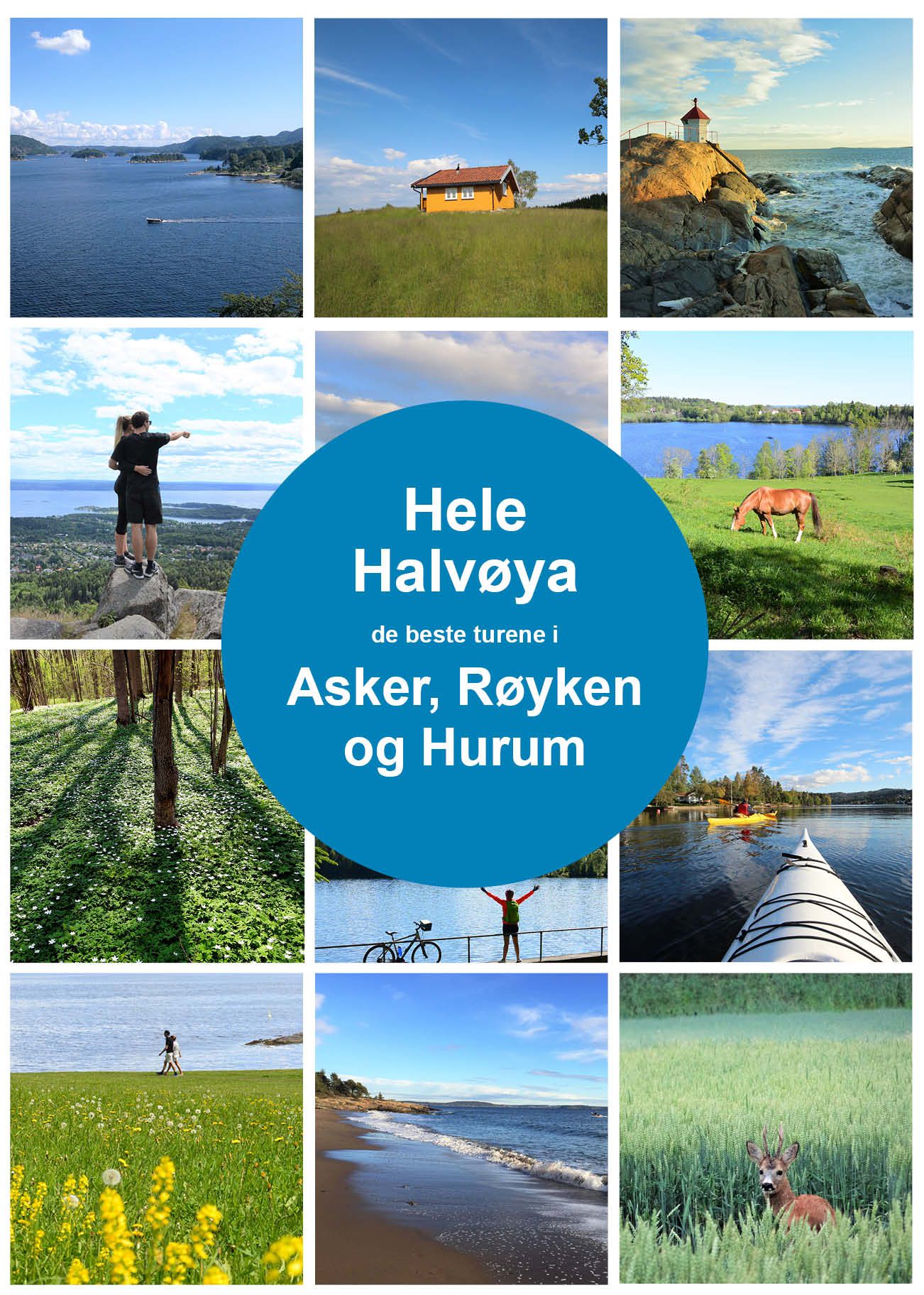 Hele halvøya : de beste turene i Asker, Røyken og Hurum