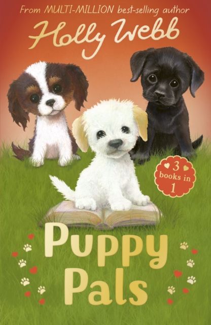 Puppy Pals : The Story Puppy, The Seaside Puppy, Monty the Sad Puppy