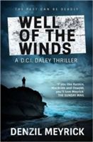 Forsidebilde av Well of the winds