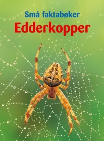 Edderkopper