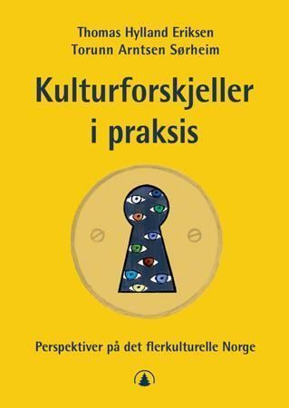 Kulturforskjeller i praksis : perspektiver på det flerkulturelle Norge