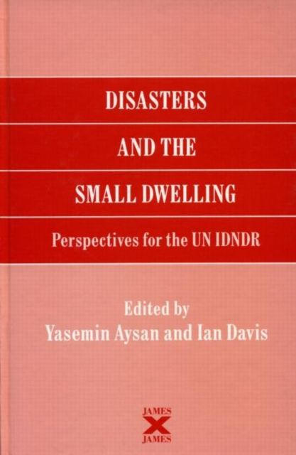Disasters and the Small Dwelling : Perspectives for the UN IDNDR