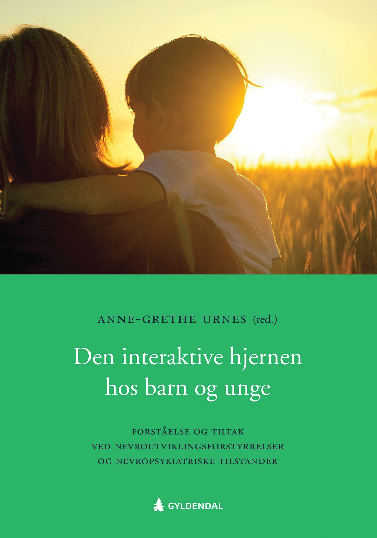 Den Interaktive hjernen hos barn og unge : forståelse og tiltak ved nevroutviklingsforstyrrelser og nevropsykiatriske tilstander