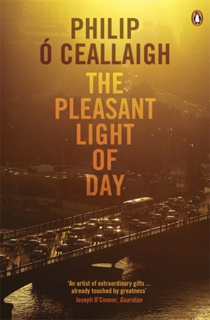 Forsidebilde av The Pleasant Light of Day