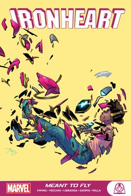 Meant to fly