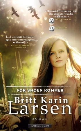Før snøen kommer : roman