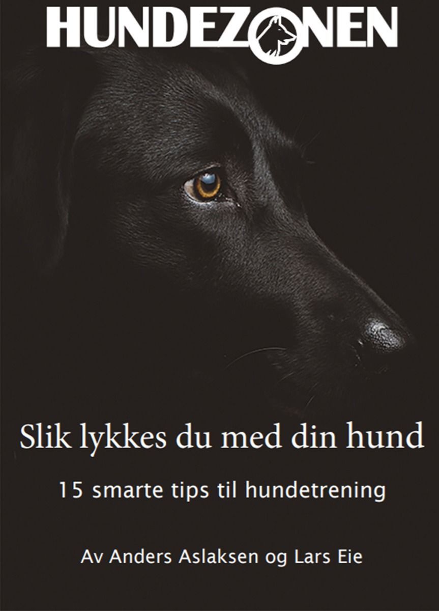 Slik lykkes du med din hund : 15 smarte tips til hundetrening