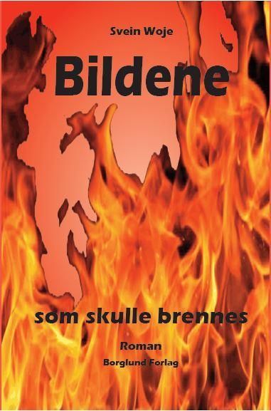 Bildene som skulle brennes : roman
