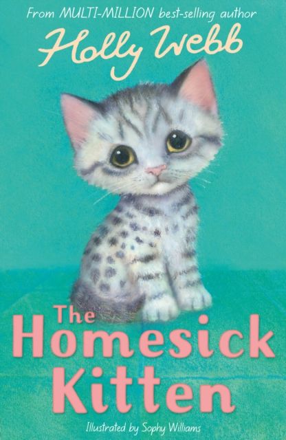 The homesick kitten
