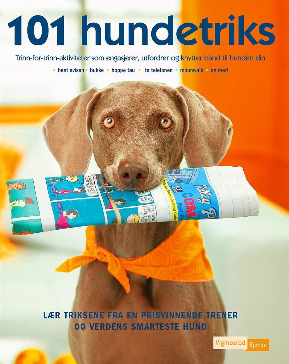 101 hundetriks : trinn-for-trinn-aktiviteter som engasjerer, utfordrer og knytter bånd til hunden din