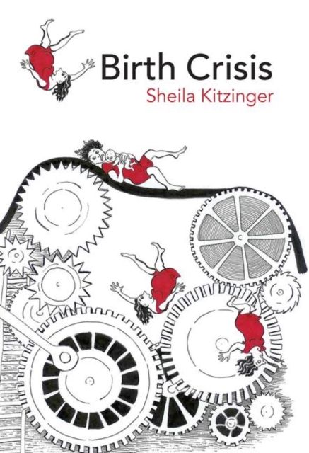 Forsidebilde av Birth Crisis
