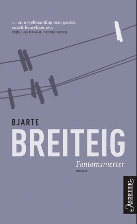 Fantomsmerter : noveller