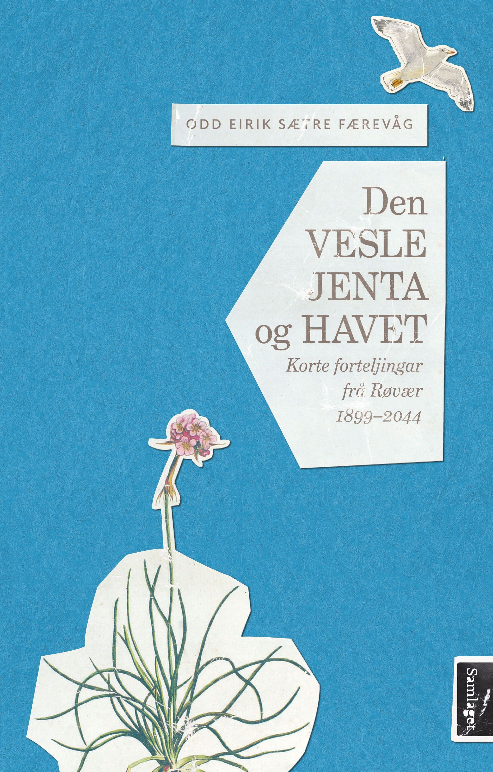 Den vesle jenta og havet : korte forteljingar frå Røvær 1899-2044