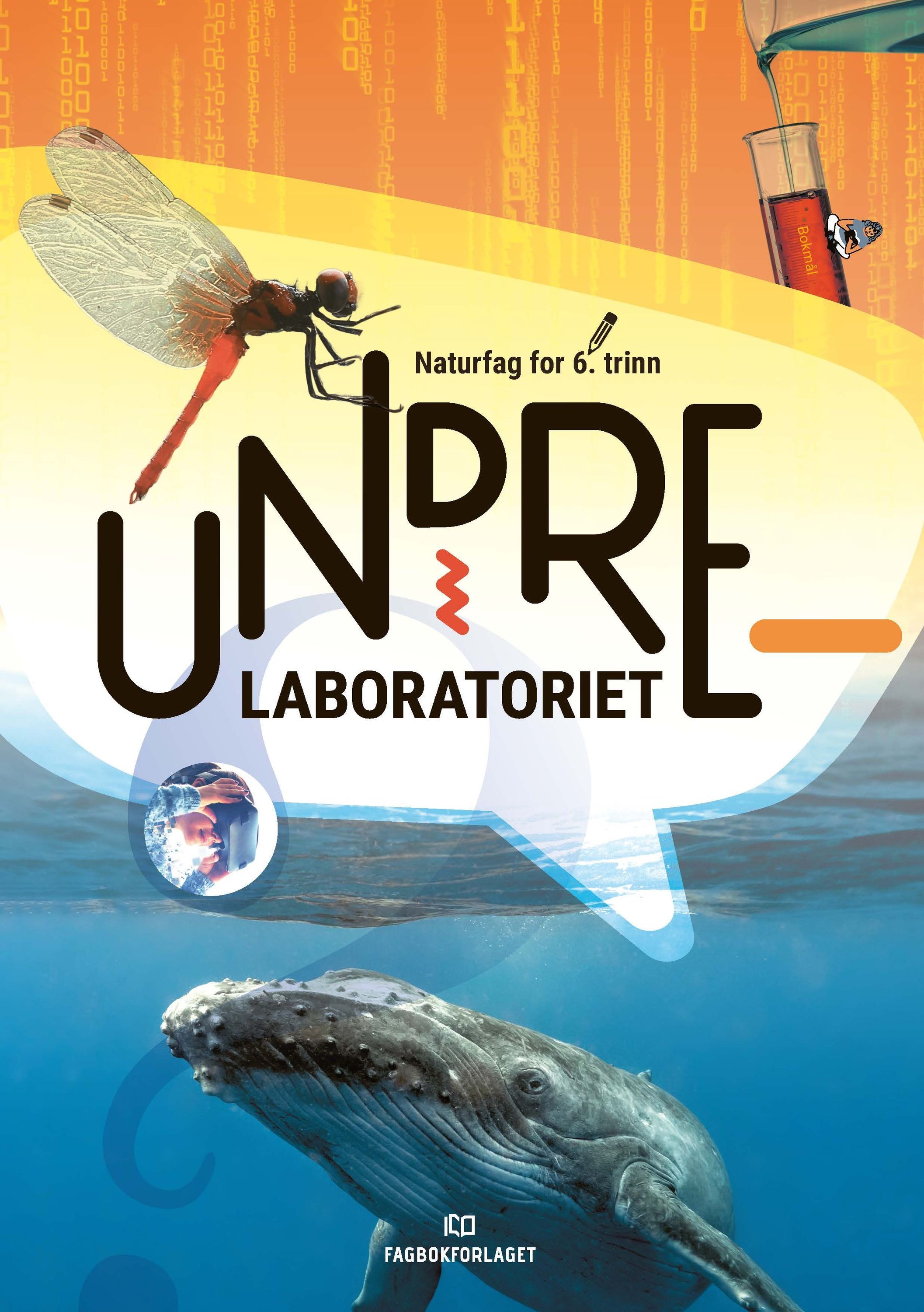 Undrelaboratoriet 6 : naturfag for mellomtrinnet. Elevbok