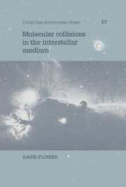Molecular Collisions in the Interstellar Medium