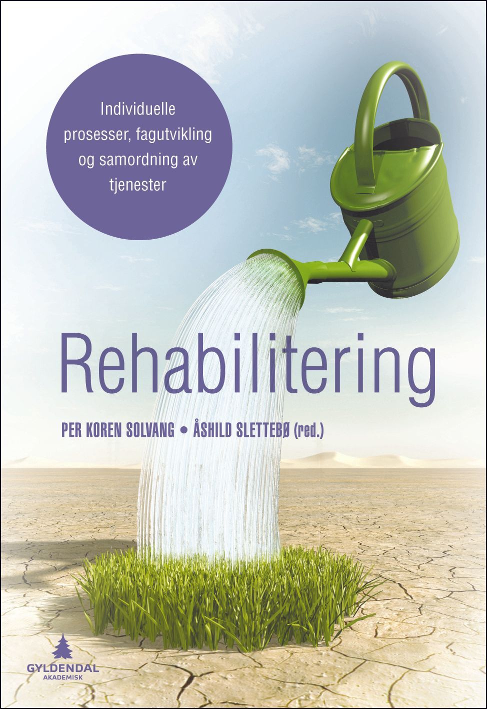 Rehabilitering : individuelle prosesser, fagutvikling og samordning av tjenester
