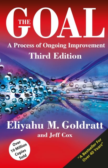 The Goal : A Process of Ongoing Improvement