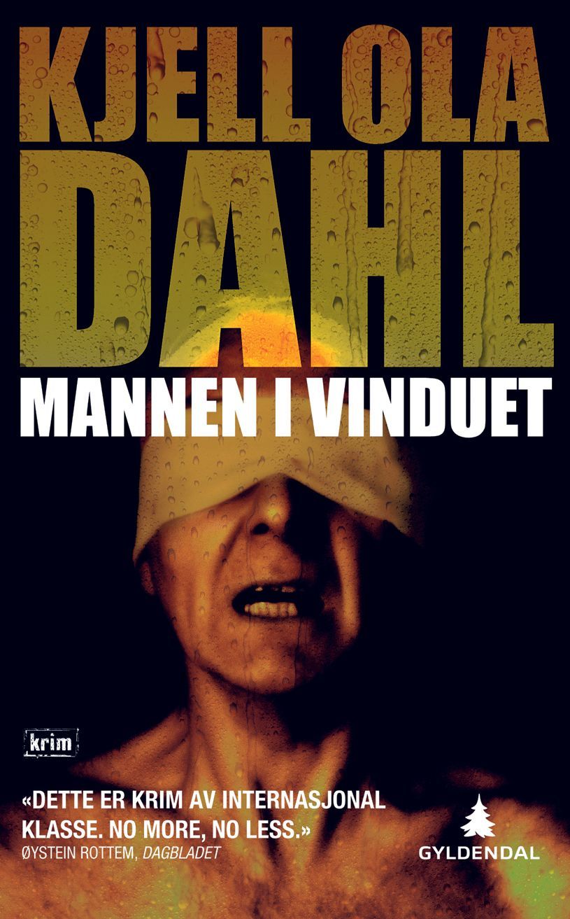Mannen i vinduet : kriminalroman