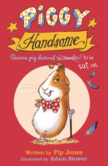 Piggy Handsome : guinea pig destined for stardom