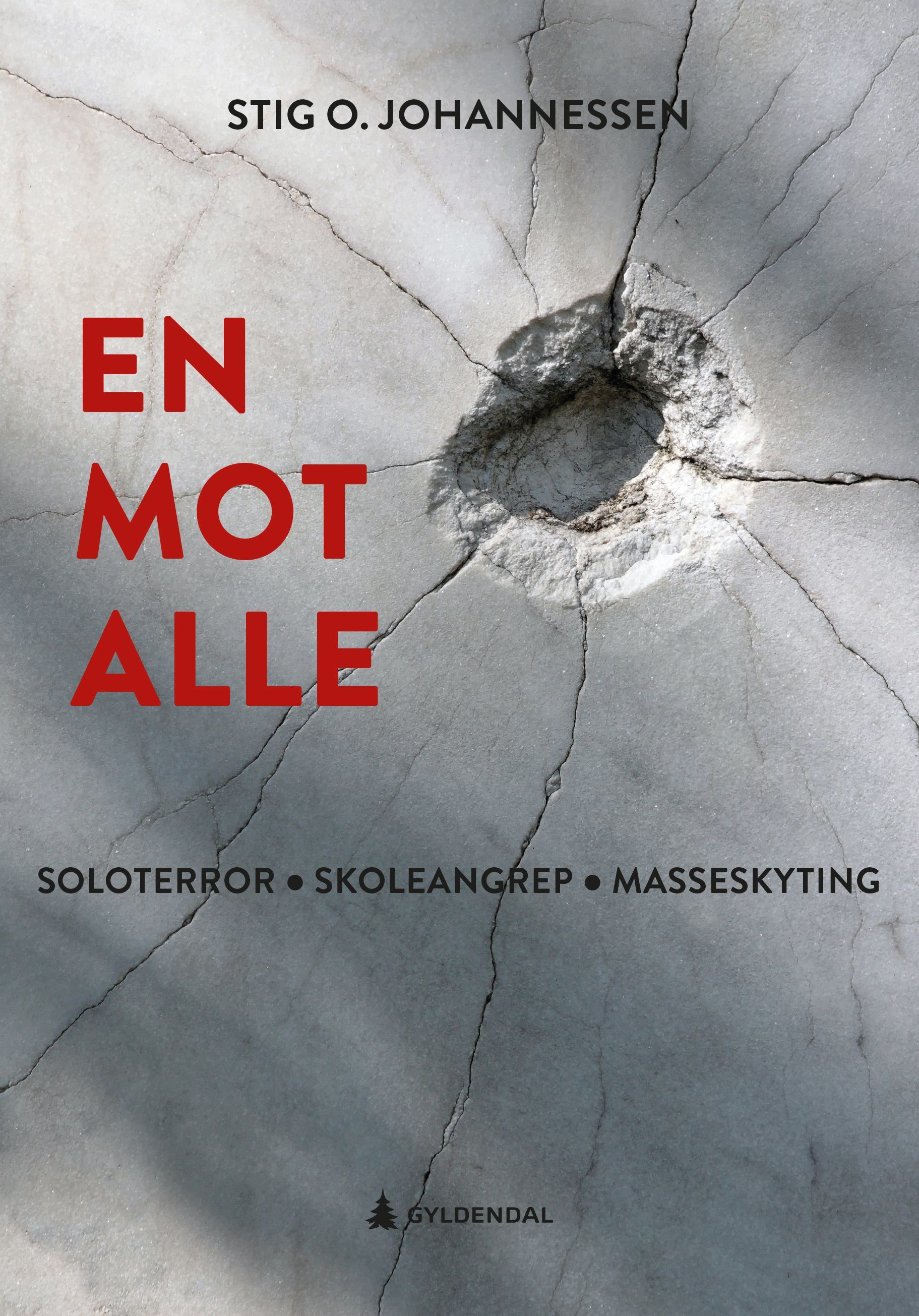 En mot alle : soloterror, skoleangrep, masseskyting