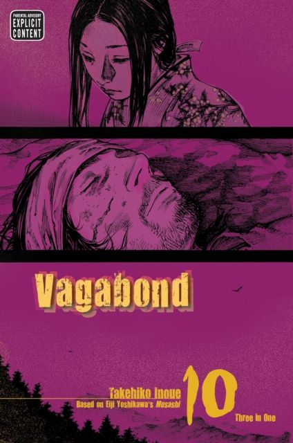 Vagabond. Volume 10