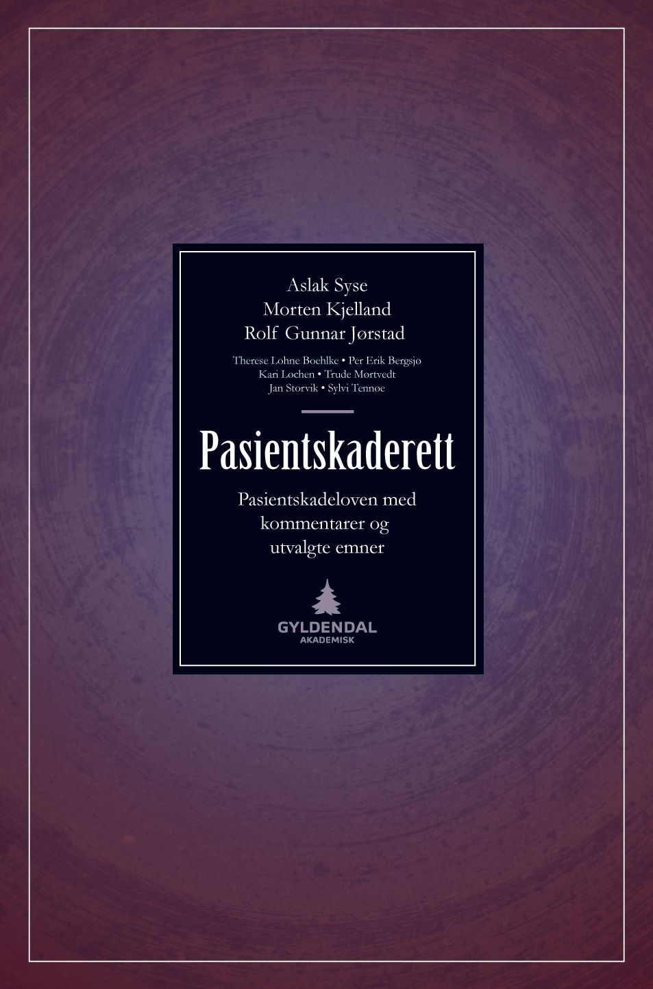 Pasientskaderett : pasientskadeloven med kommentarer og utvalgte emner
