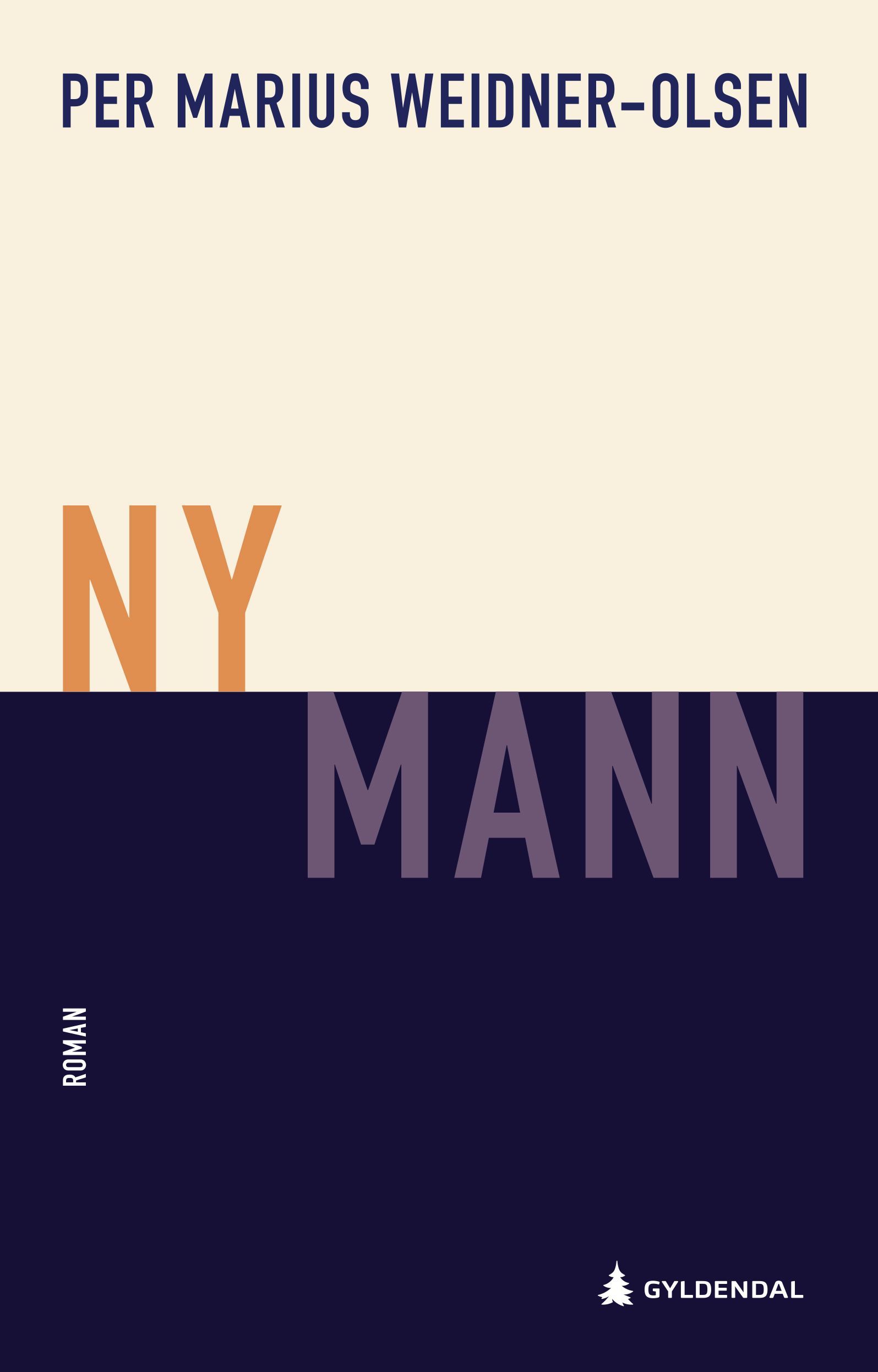 Ny mann : roman