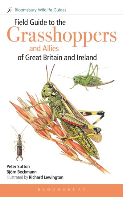 Field Guide to the Grasshoppers and Allies of Great Britain and Ireland : Grasshoppers, Crickets, Earwigs, Cockroaches, Mantids and Stick-insects